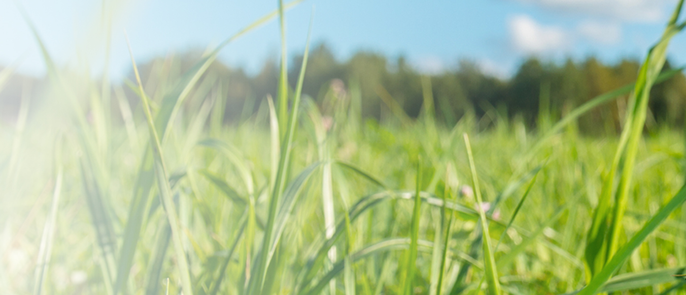 Environnement et Agriculture